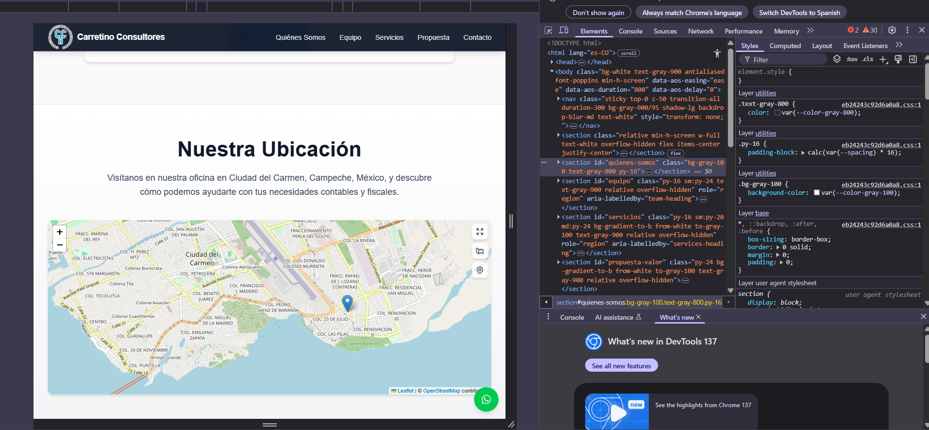 Vista de servicios en CCONSULTORES